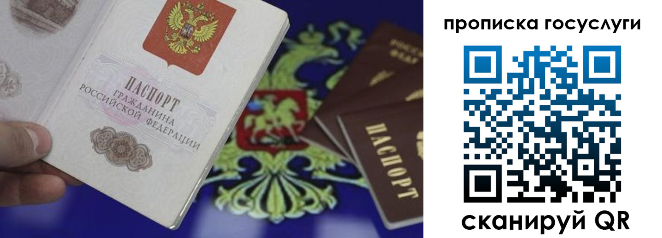 прописка для школы в Выксе